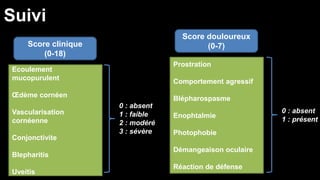 Suivi 
0 : absent 
1 : faible 
2 : modéré 
3 : sévère 
0 : absent 
1 : présent 
Score clinique 
(0-18) 
Score douloureux 
(0-7) 
Ecoulement 
mucopurulent 
OEdème cornéen 
Vascularisation 
cornéenne 
Conjonctivite 
Blepharitis 
Uveitis 
Prostration 
Comportement agressif 
Blépharospasme 
Enophtalmie 
Photophobie 
Démangeaison oculaire 
Réaction de défense 
 
