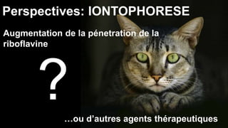 Perspectives: IONTOPHORESE 
Augmentation de la pénetration de la 
riboflavine 
? 
…ou d’autres agents thérapeutiques 
 