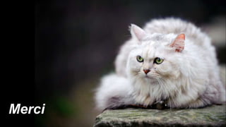 Merci 
 