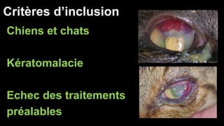 Critères d’inclusion 
Chiens et chats 
Kératomalacie 
Echec des traitements 
préalables 
 