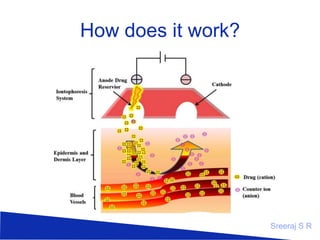 How does it work?

Sreeraj S R

 