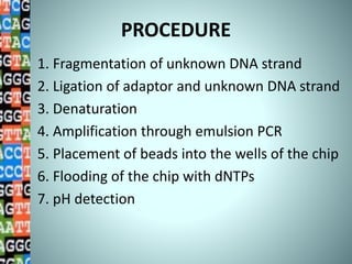 PROCEDURE
1. Fragmentation of unknown DNA strand
2. Ligation of adaptor and unknown DNA strand
3. Denaturation
4. Amplification through emulsion PCR
5. Placement of beads into the wells of the chip
6. Flooding of the chip with dNTPs
7. pH detection
 