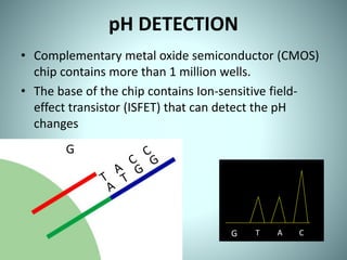 pH DETECTION
• Complementary metal oxide semiconductor (CMOS)
chip contains more than 1 million wells.
• The base of the chip contains Ion-sensitive field-
effect transistor (ISFET) that can detect the pH
changes
G
G T A C
 