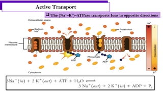 mechanism of ion transportation in living cells | PPTX