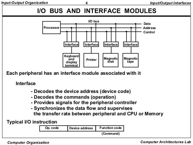 Io organization