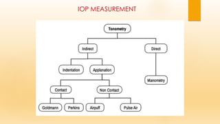 IOP MEASUREMENT
 