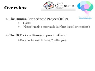 Overview
1. The Human Connectome Project (HCP)
Goals
Neuroimaging approach (surface-based processing)
2.The HCP v1 multi-m...