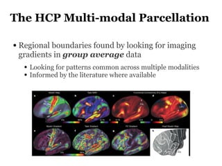 The HCP Multi-modal Parcellation
• Regional boundaries found by looking for imaging
gradients in group average data
• Look...