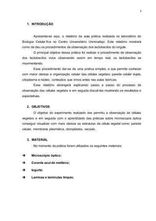 3
1. INTRODUÇÃO
Apresenta-se aqui, o relatório da aula prática realizada no laboratório de
Biologia Celular fica no Centro Universitário Uninovafapi. Este relatório mostrará
como de deu os procedimentos de observação dos lactobacilos do iorgute.
O principal objetivo dessa prática foi realizar o procedimento de observação
dos lactobacilos vivos observando assim em tempo real, os lactobacilos se
movimentando.
Esse procedimento dar-se de uma pratica simples, e que permite conhecer
com maior clareza a organização celular das células vegetais: parede celular dupla,
citoplasma e núcleo, conteúdos que vimos antes nas aulas teóricas.
Esse relatório abrangerá explicando passo a passo do processo de
observação das células vegetais e em seguida discuti-las mostrando os resultados e
expectativas.
2. OBJETIVOS
O objetivo do experimento realizado nos permitiu a observação de células
vegetais e em seguida com o aprendizado das práticas sobre microscopia óptica
conseguir visualizar com mais clareza as estruturas da célula vegetal como: parede
celular, membrana plasmática, cloroplastos, vacúolo.
3. MATERIAL
No momento da prática foram utilizados os seguintes materiais:
 Microscópio óptico;
 Corante azul de metileno;
 Iogurte;
 Laminas e lamínulas limpas;
 