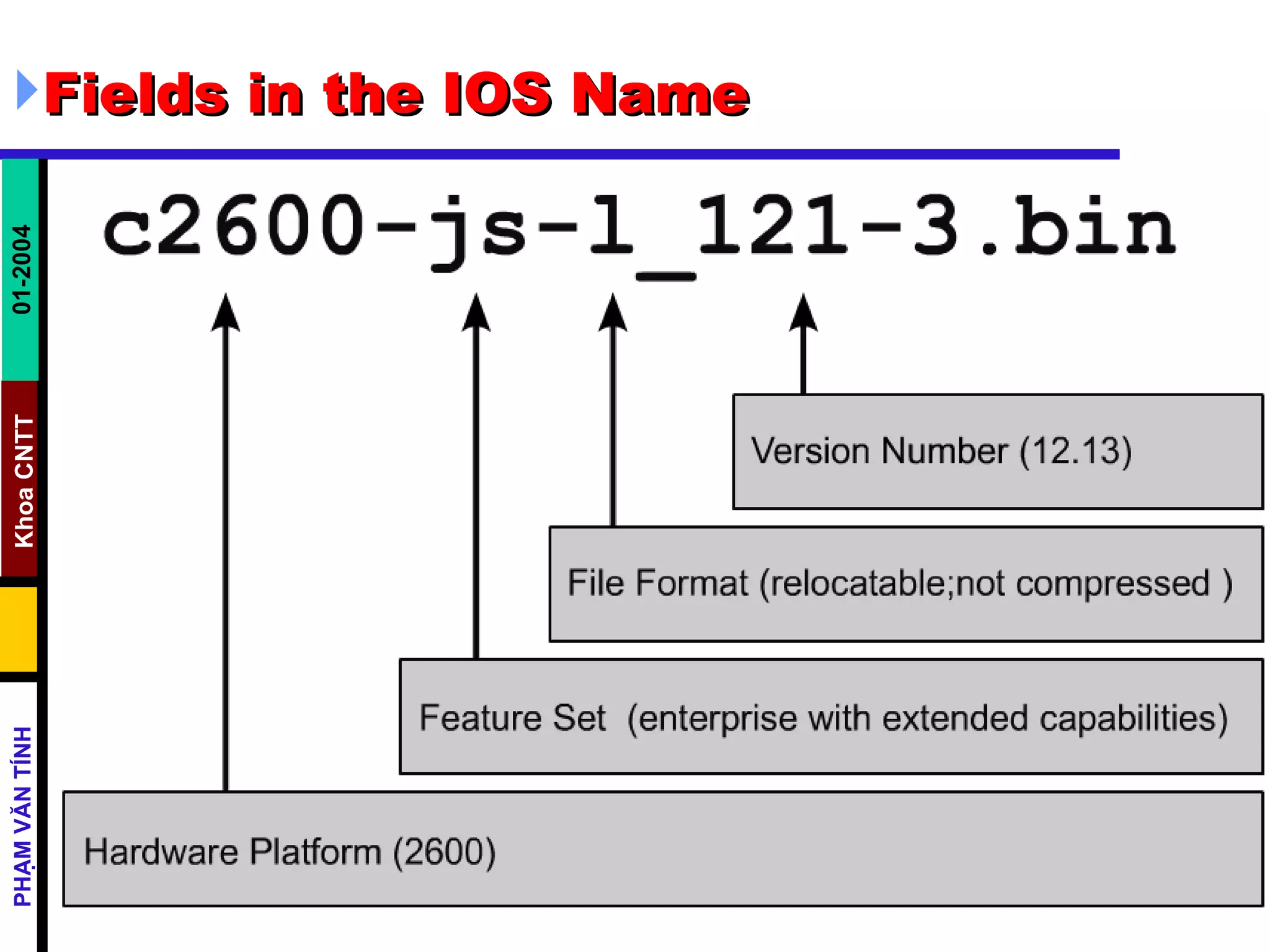 Fields in the IOS Name 