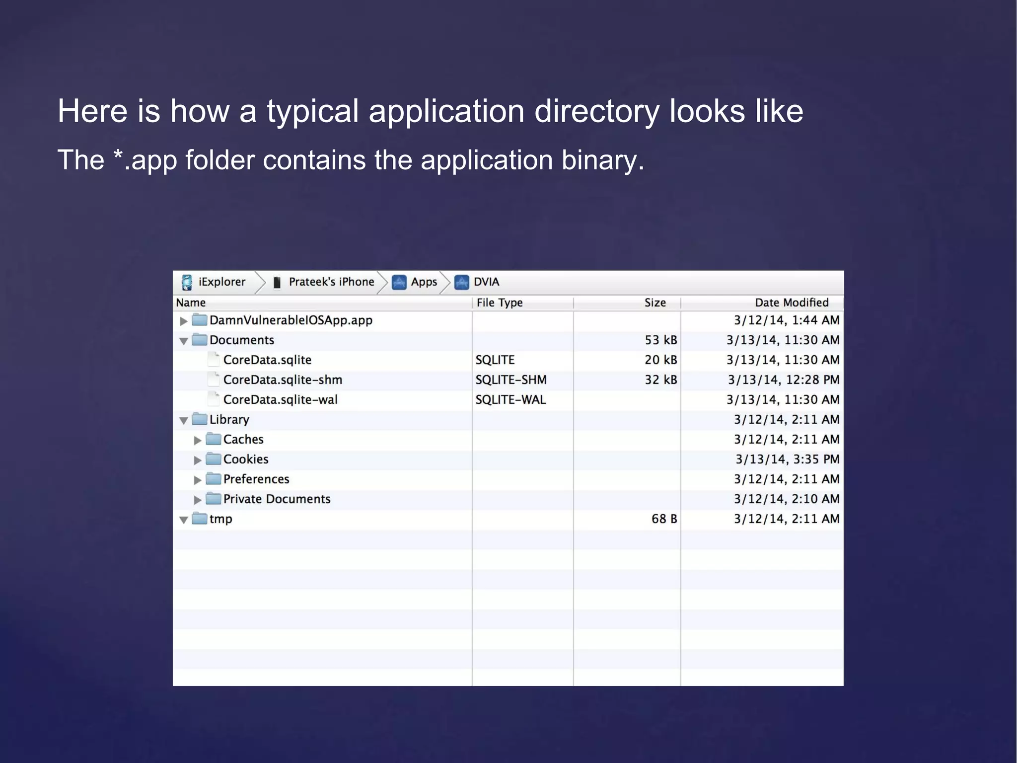 Here is how a typical application directory looks like The *.app folder contains the application binary. 