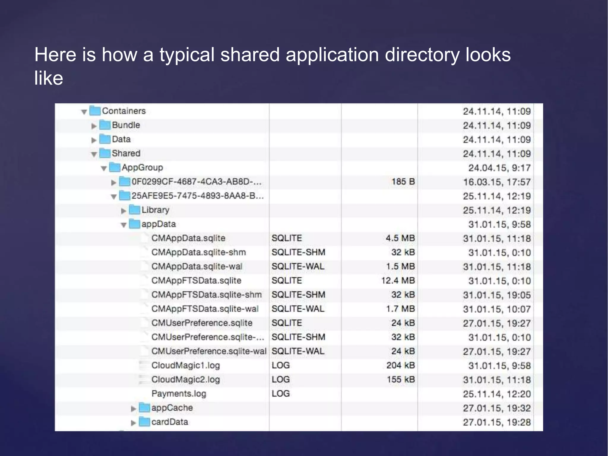 Here is how a typical shared application directory looks like 