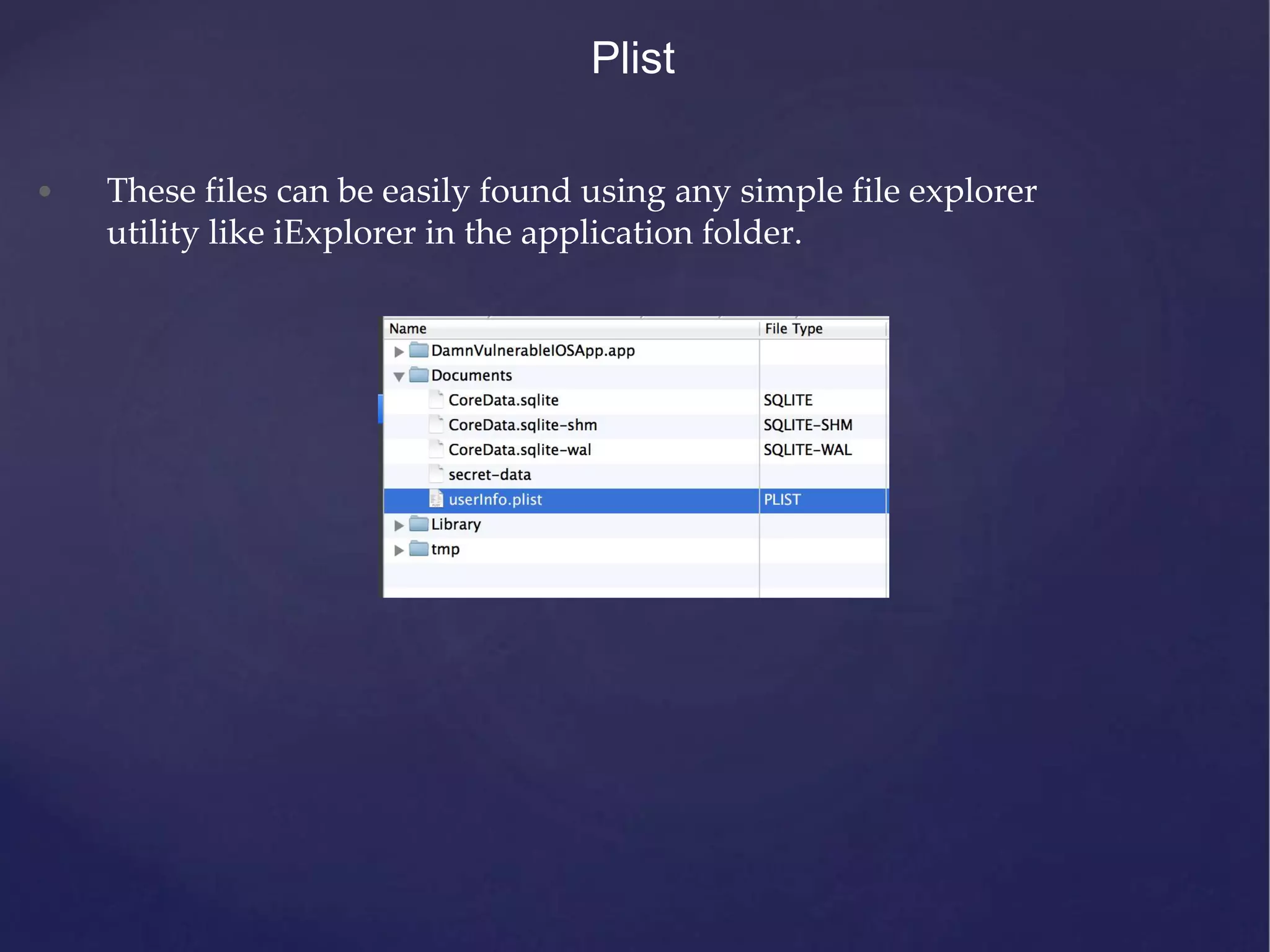 Plist • These files can be easily found using any simple file explorer utility like iExplorer in the application folder. 