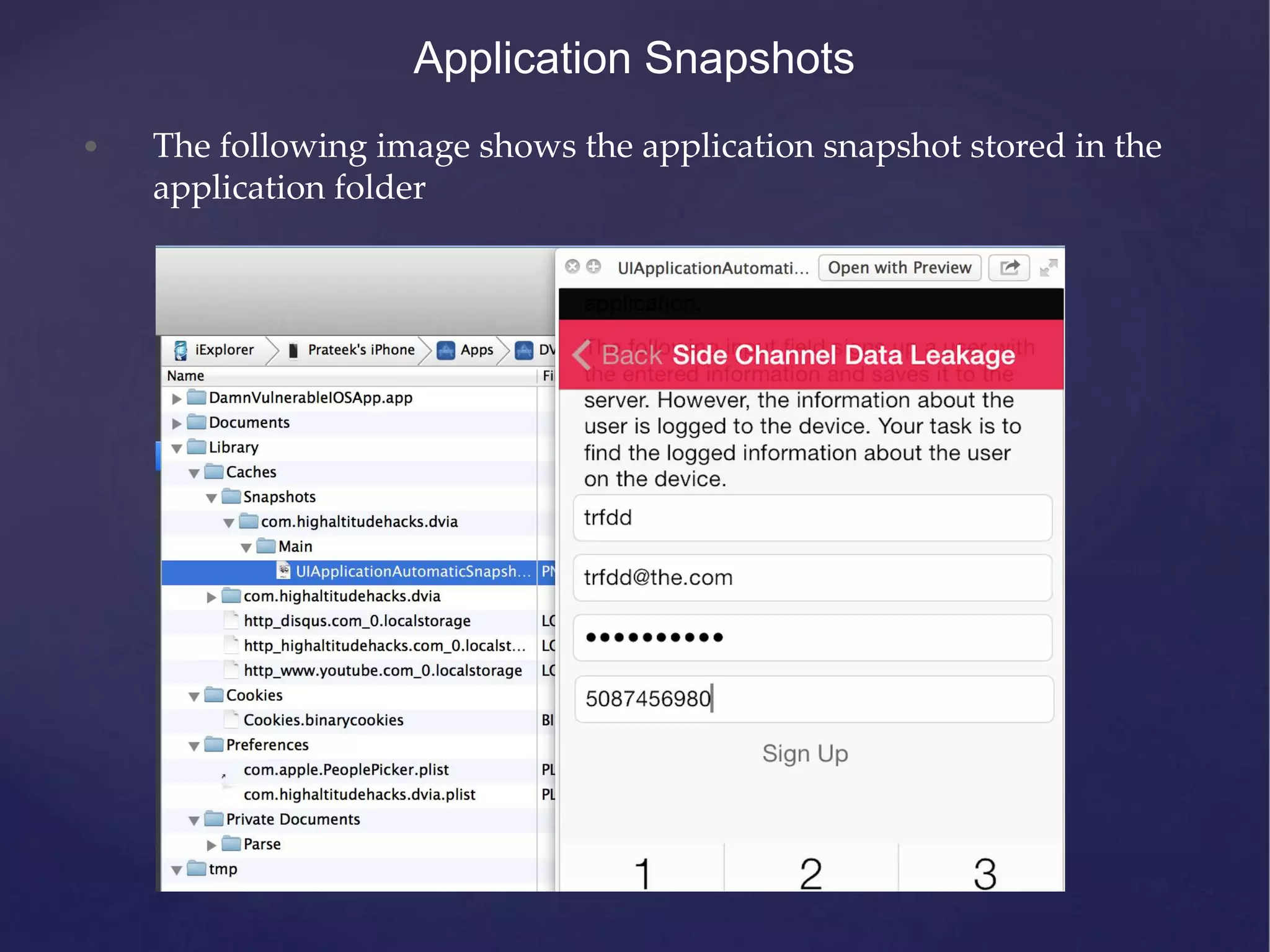 Application Snapshots • The following image shows the application snapshot stored in the application folder 
