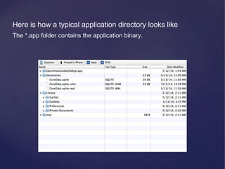 Here is how a typical application directory looks like
The *.app folder contains the application binary.
 