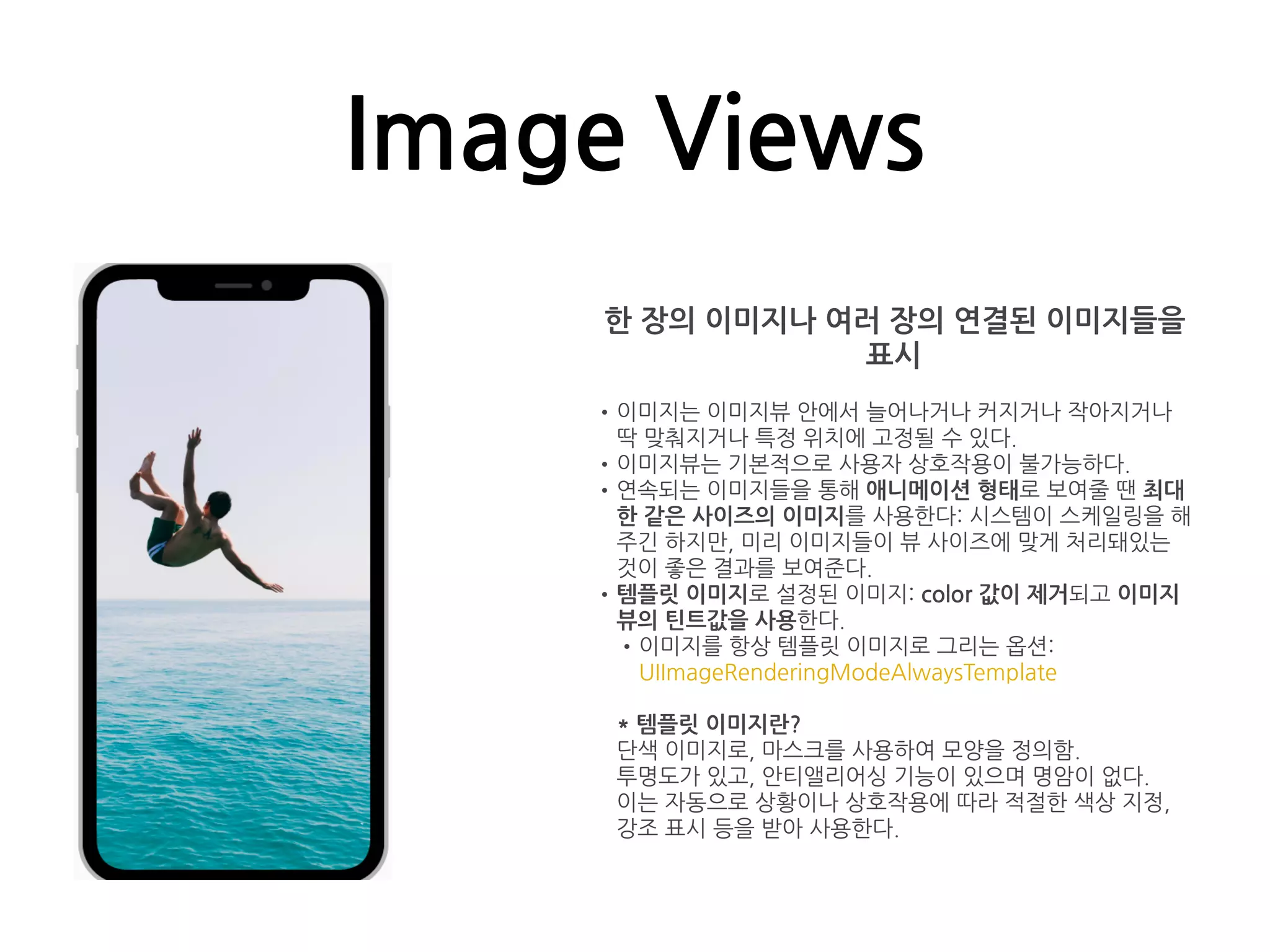 Image Views
한 장의 이미지나 여러 장의 연결된 이미지들을
표시
•이미지는 이미지뷰 안에서 늘어나거나 커지거나 작아지거나
딱 맞춰지거나 특정 위치에 고정될 수 있다.
•이미지뷰는 기본적으로 사용자 상호작용이 불가능하다.
•연속되는 이미지들을 통해 애니메이션 형태로 보여줄 땐 최대
한 같은 사이즈의 이미지를 사용한다: 시스템이 스케일링을 해
주긴 하지만, 미리 이미지들이 뷰 사이즈에 맞게 처리돼있는
것이 좋은 결과를 보여준다.
•템플릿 이미지로 설정된 이미지: color 값이 제거되고 이미지
뷰의 틴트값을 사용한다.
•이미지를 항상 템플릿 이미지로 그리는 옵션:
UIImageRenderingModeAlwaysTemplate
* 템플릿 이미지란?
단색 이미지로, 마스크를 사용하여 모양을 정의함.
투명도가 있고, 안티앨리어싱 기능이 있으며 명암이 없다.
이는 자동으로 상황이나 상호작용에 따라 적절한 색상 지정,
강조 표시 등을 받아 사용한다.
 