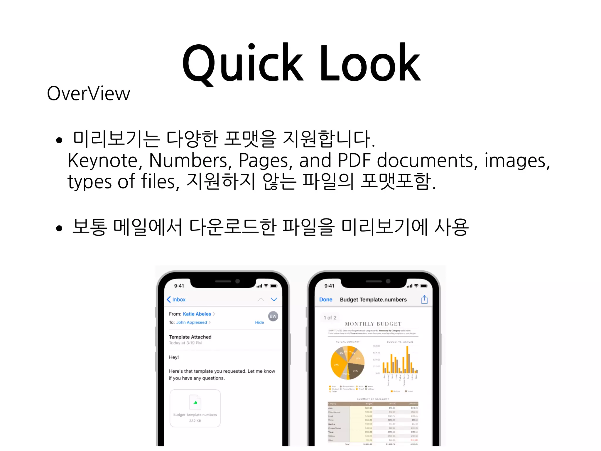 Quick LookOverView
•미리보기는 다양한 포맷을 지원합니다. 
Keynote, Numbers, Pages, and PDF documents, images,
types of files, 지원하지 않는 파일의 포맷포함.
•보통 메일에서 다운로드한 파일을 미리보기에 사용
 