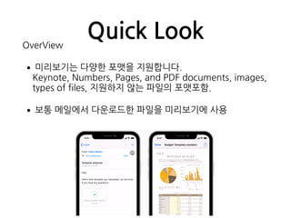 Quick LookOverView
•미리보기는 다양한 포맷을 지원합니다. 
Keynote, Numbers, Pages, and PDF documents, images,
types of files, 지원하지 않는 파일의 포맷포함.
•보통 메일에서 다운로드한 파일을 미리보기에 사용
 