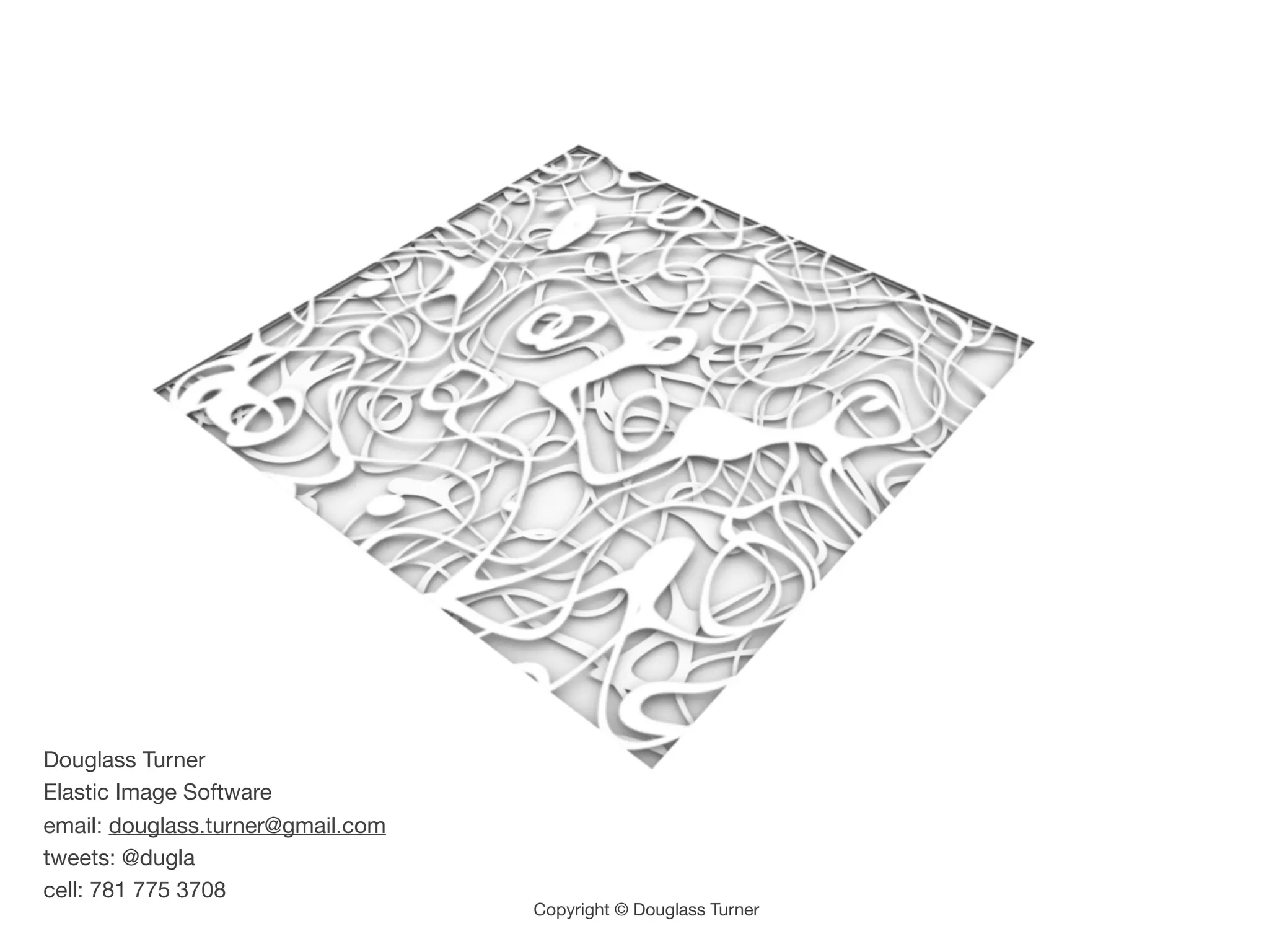 Douglass Turner
Elastic Image Software
email: douglass.turner@gmail.com
tweets: @dugla
cell: 781 775 3708
                                   Copyright © Douglass Turner
 