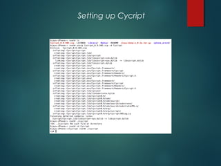 Setting up Cycript
 