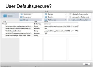 User Defaults,secure?

 