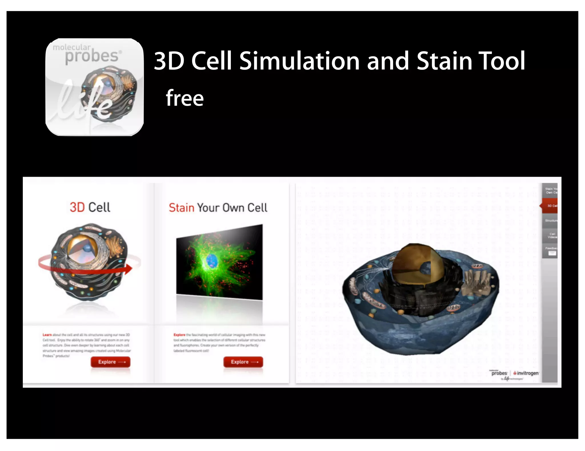 3D Cell Simulation and Stain Tool
 free
 
