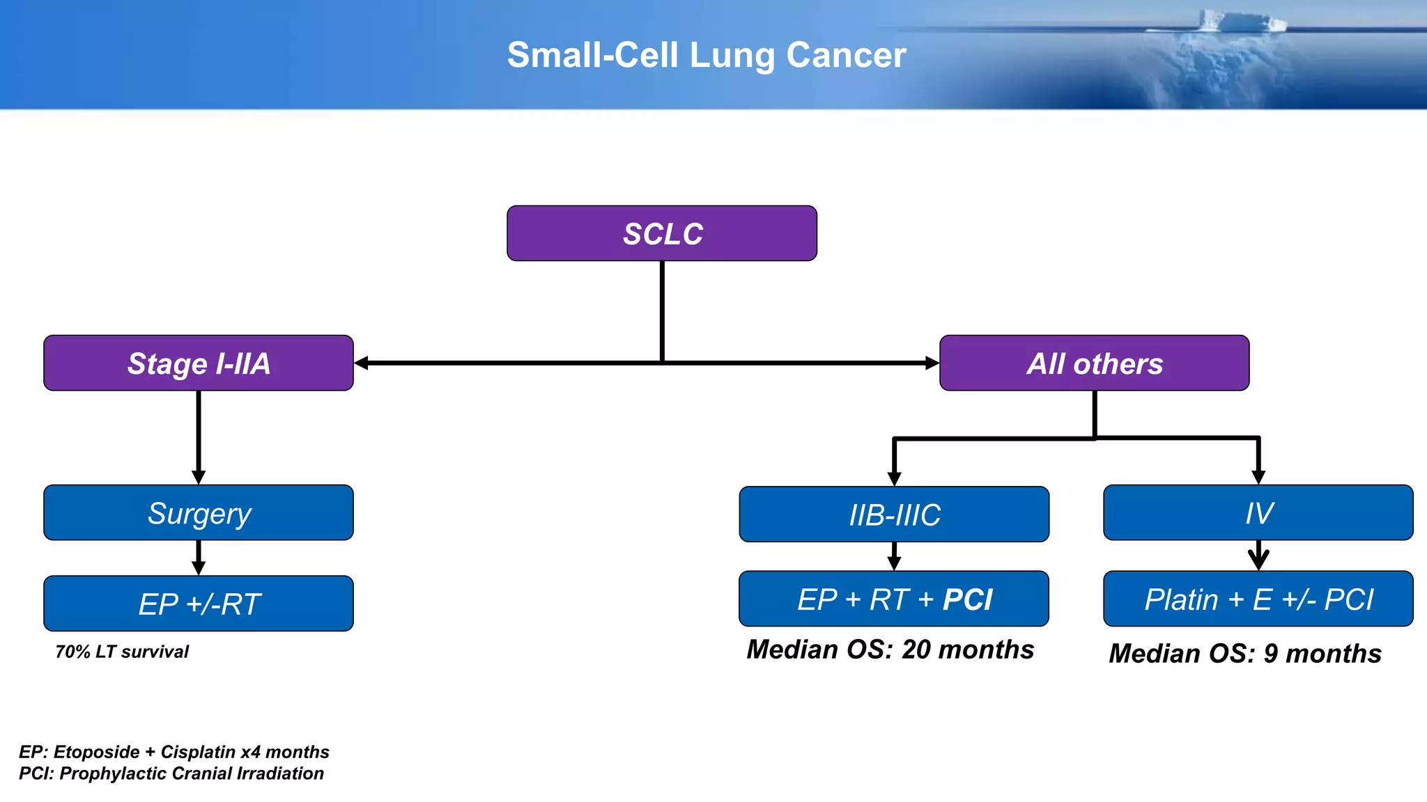 Small-Cell Lung Cancer
SCLC
Stage I-IIA All others
Surgery
EP +/-RT
IIB-IIIC IV
EP + RT + PCI Platin + E +/- PCI
EP: Etoposide + Cisplatin x4 months
PCI: Prophylactic Cranial Irradiation
70% LT survival Median OS: 20 months Median OS: 9 months
 