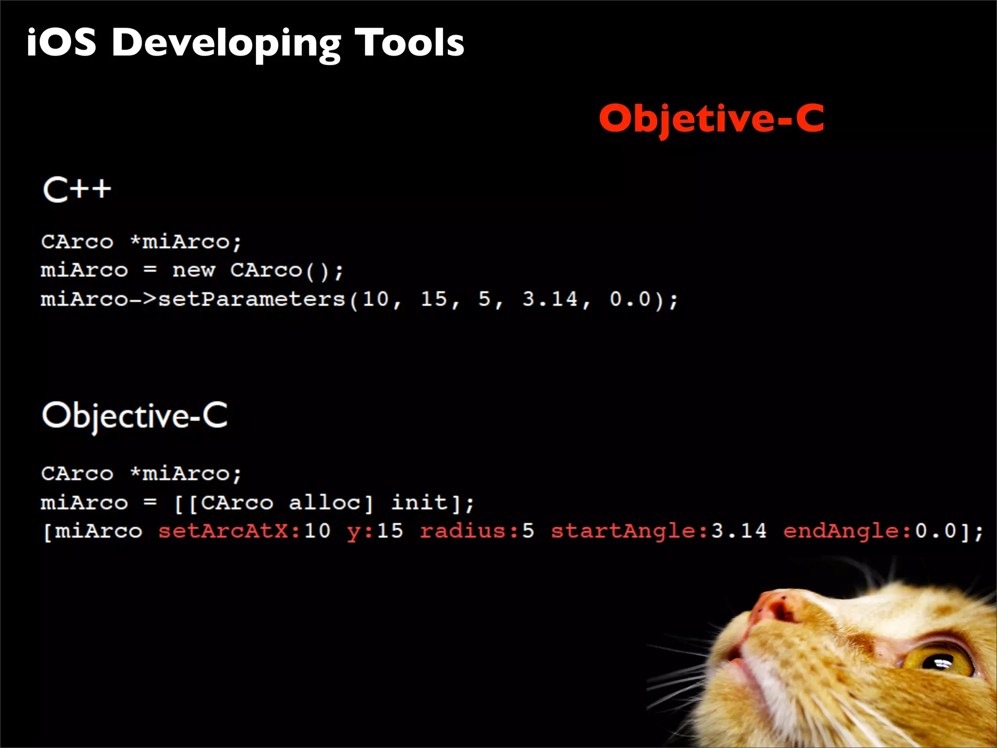 iOS Developing Tools
                       Objetive-C
 