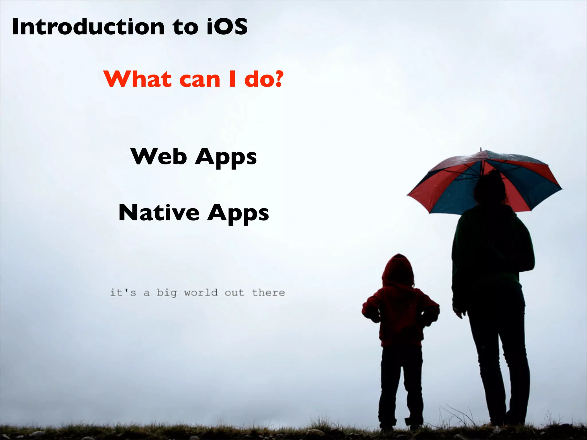 Introduction to iOS

       What can I do?


         Web Apps

        Native Apps
 