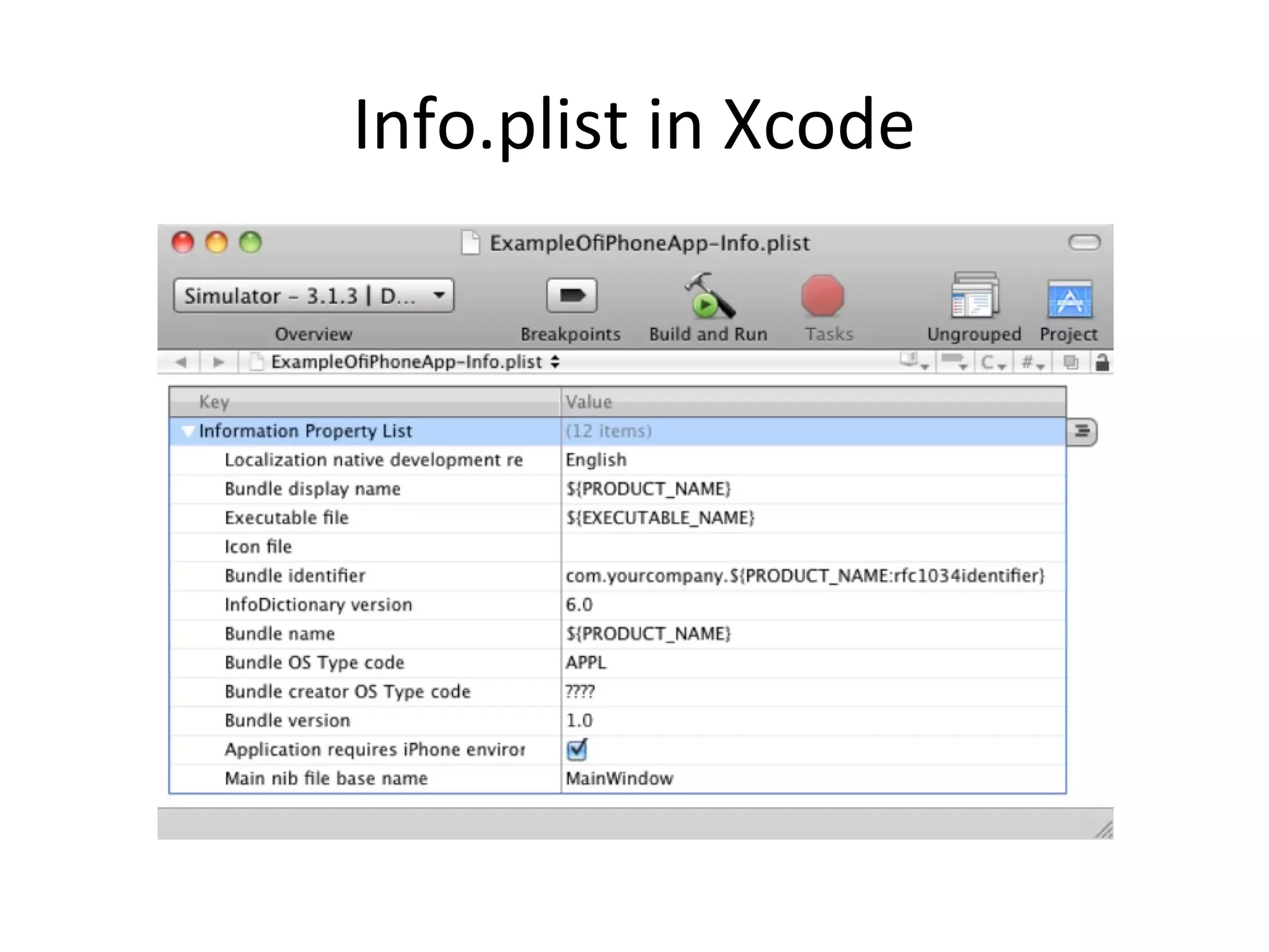 Info.plist in Xcode
 