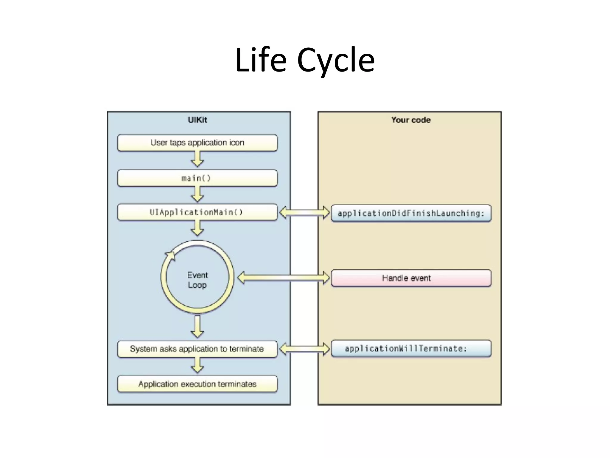 Life Cycle
 