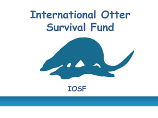 International Otter
Survival Fund
IOSF
 
