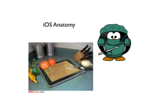 iOS Anatomy
 
