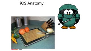 iOS Anatomy
 