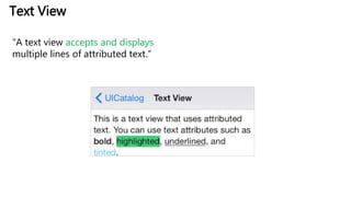 Text View
“A text view accepts and displays
multiple lines of attributed text.”
 