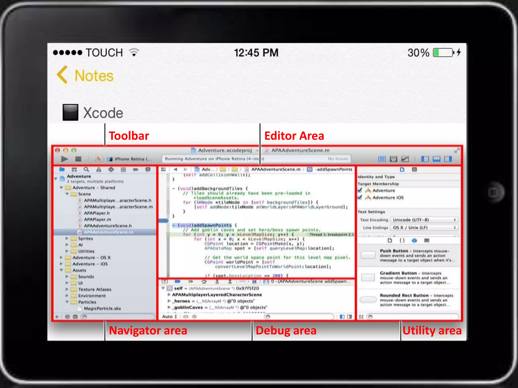 Toolbar Editor Area 
Navigator area Debug area Utility area 
 