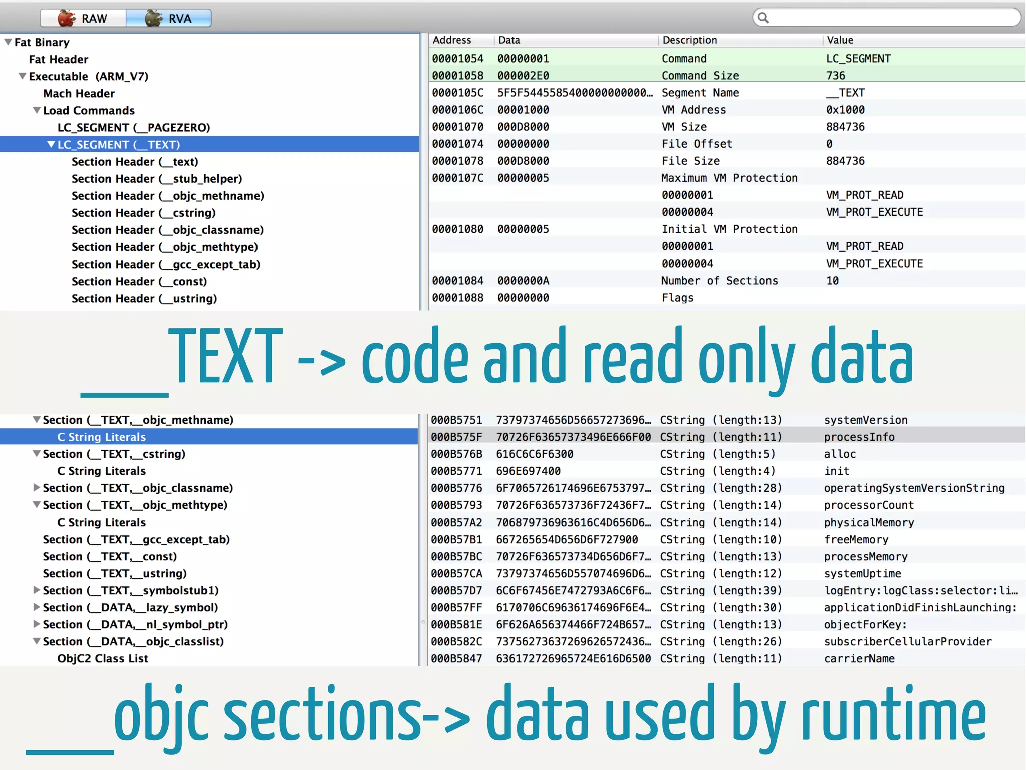 __TEXT -> code and read only data

__objc sections-> data used by runtime

 
