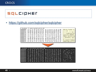 • https://github.com/sqlcipher/sqlcipher
45 I
 
