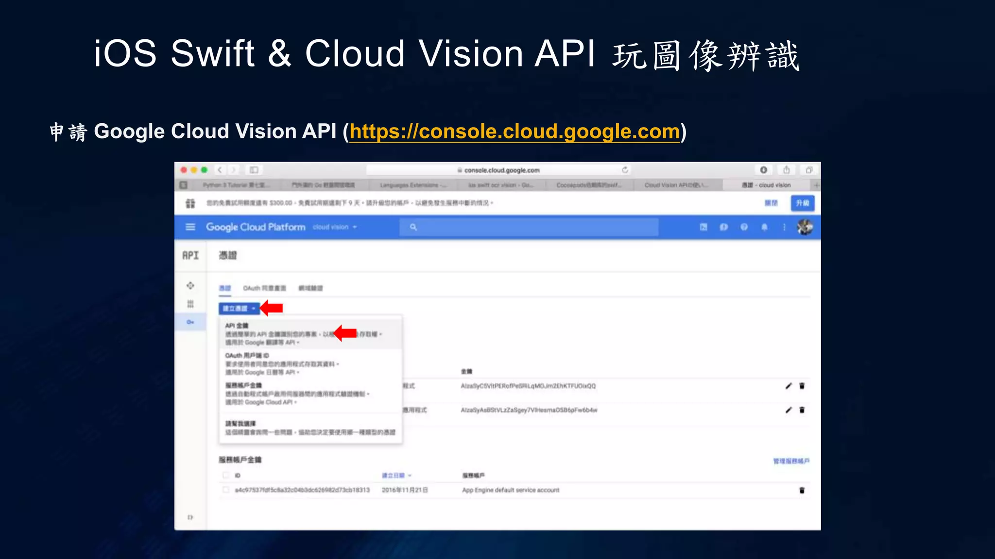 申請 Google Cloud Vision API (https://console.cloud.google.com)
iOS Swift & Cloud Vision API 玩圖像辨識
 