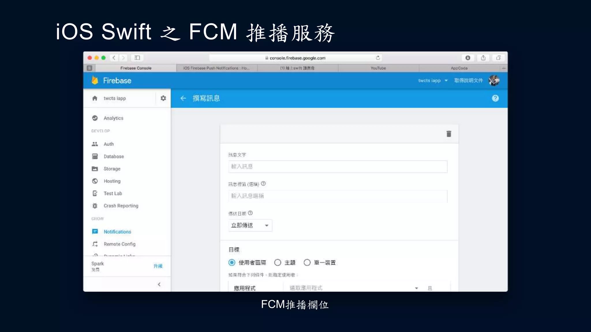 iOS Swift 之 FCM 推播服務
FCM推播欄位
 