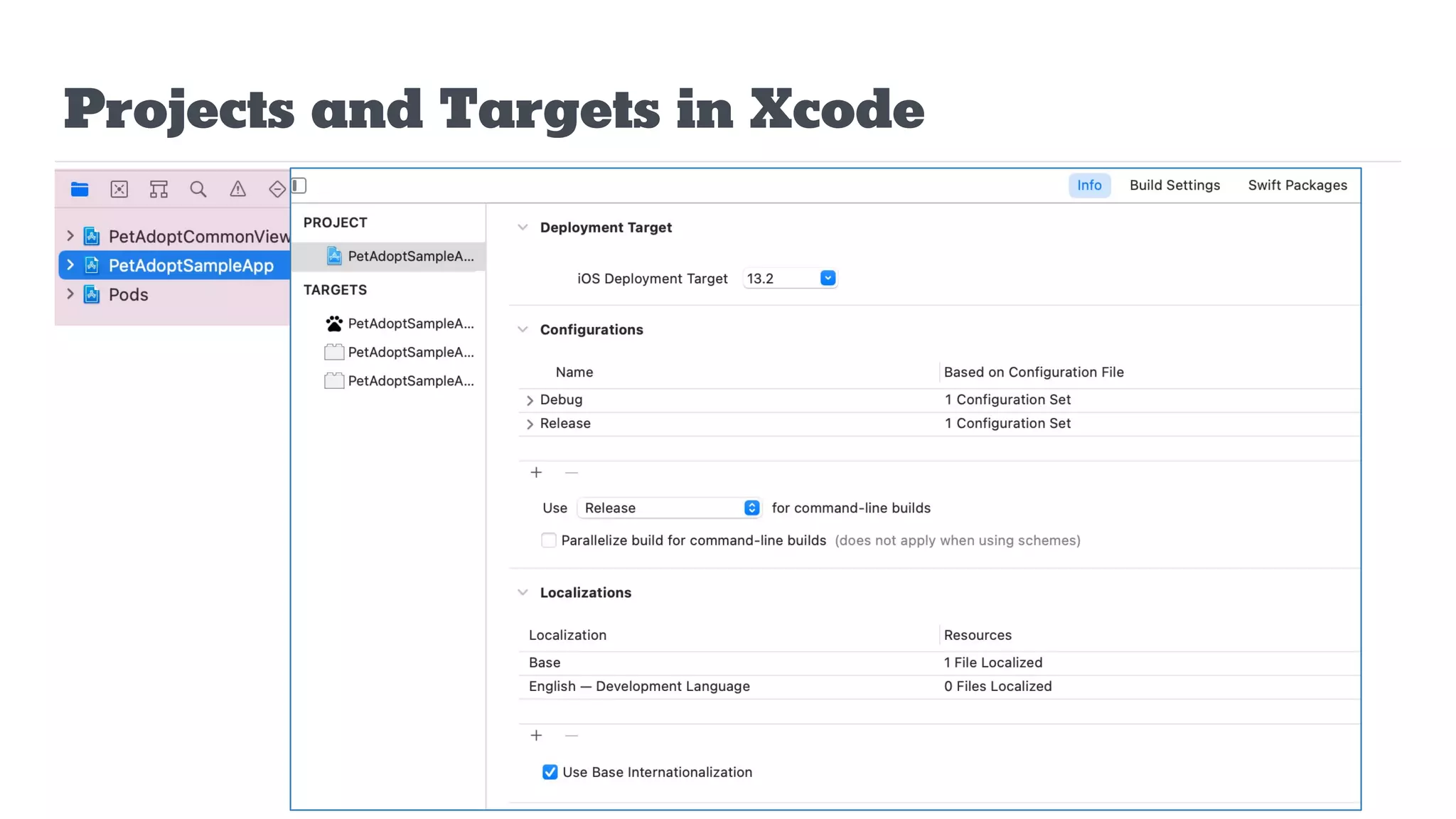 Projects and Targets in Xcode
 