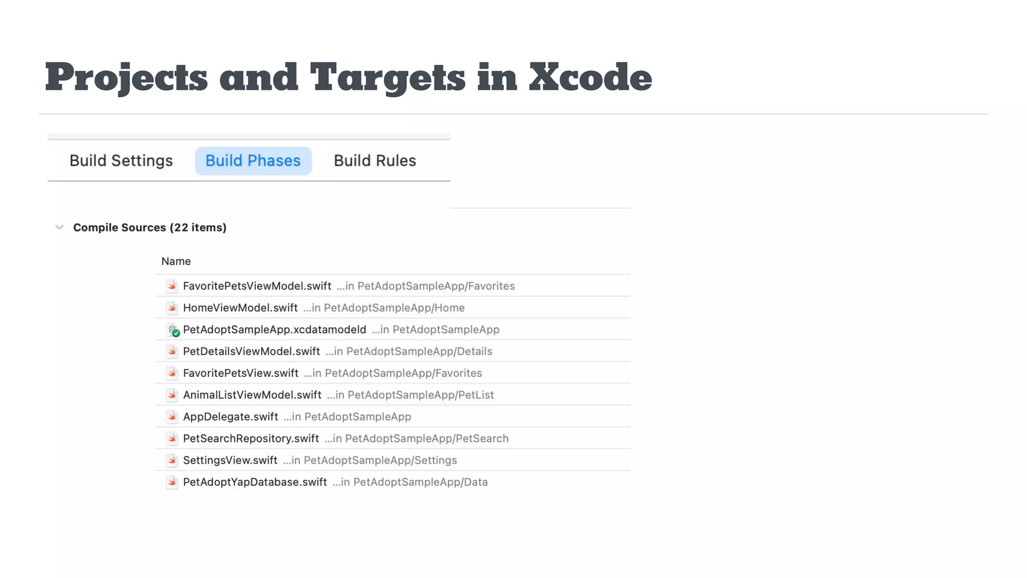 Projects and Targets in Xcode
 