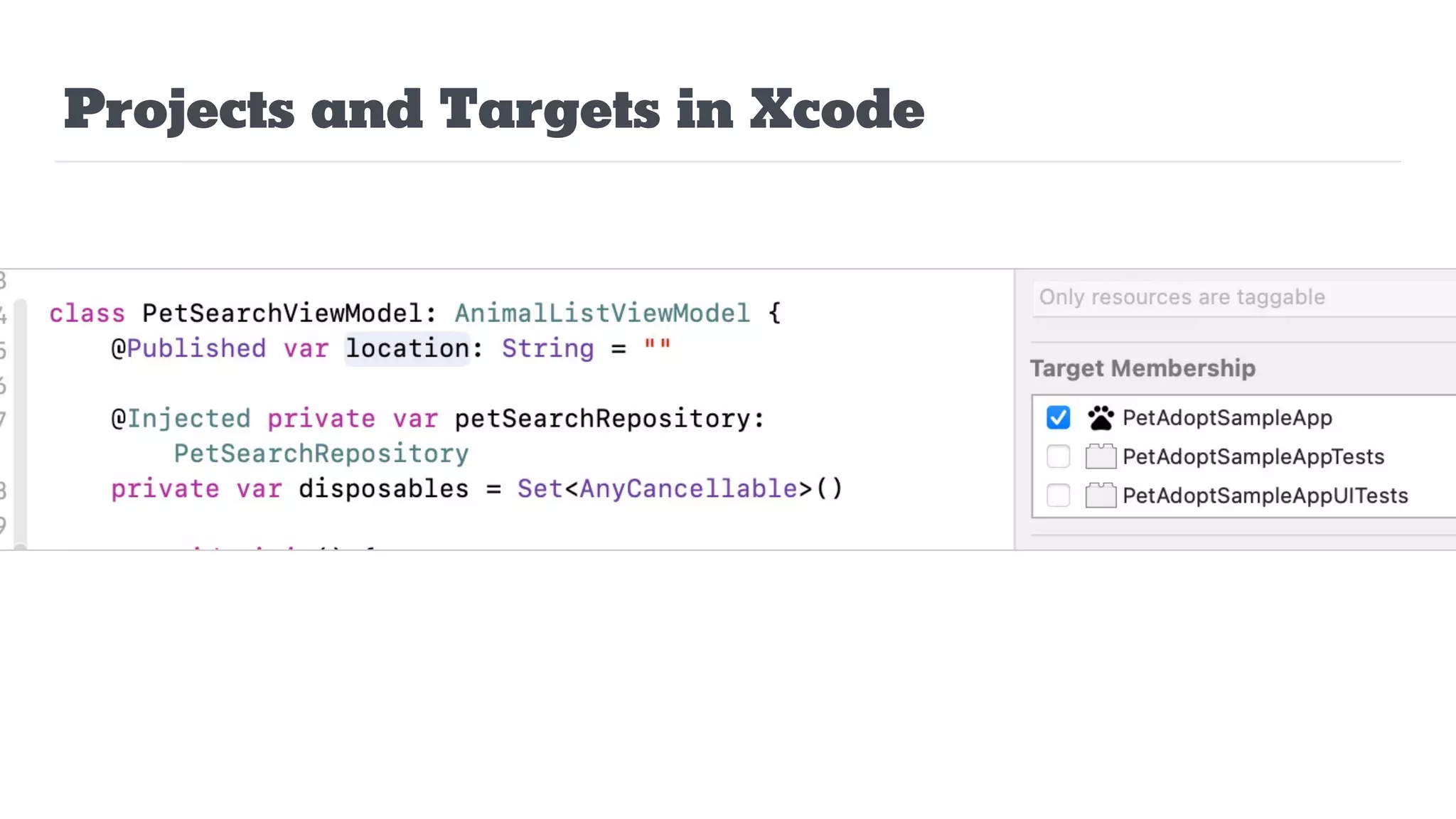 Projects and Targets in Xcode
 