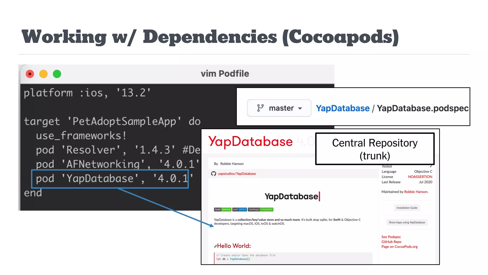 Working w/ Dependencies (Cocoapods)
Central Repository
(trunk)
 