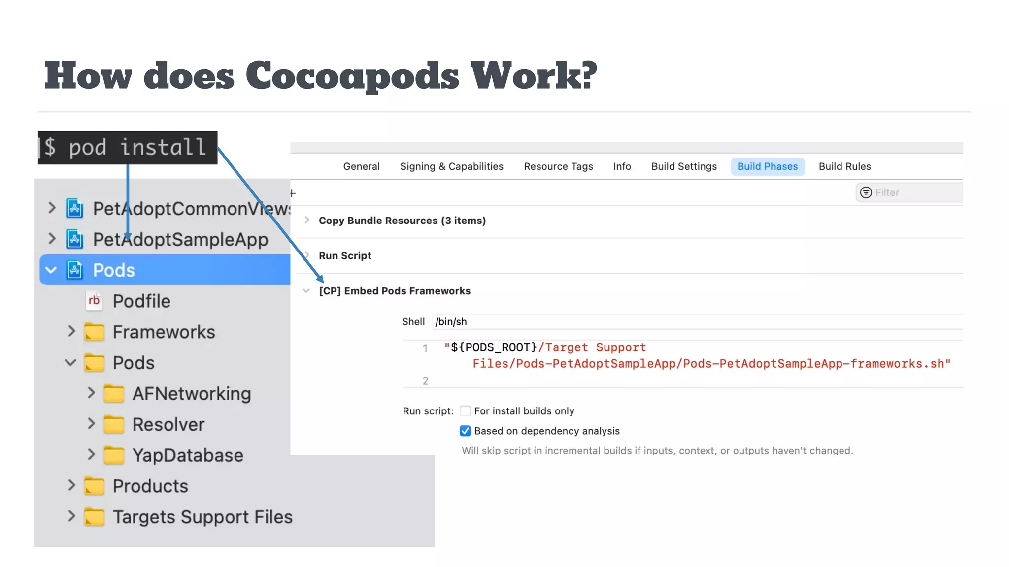 How does Cocoapods Work?
 