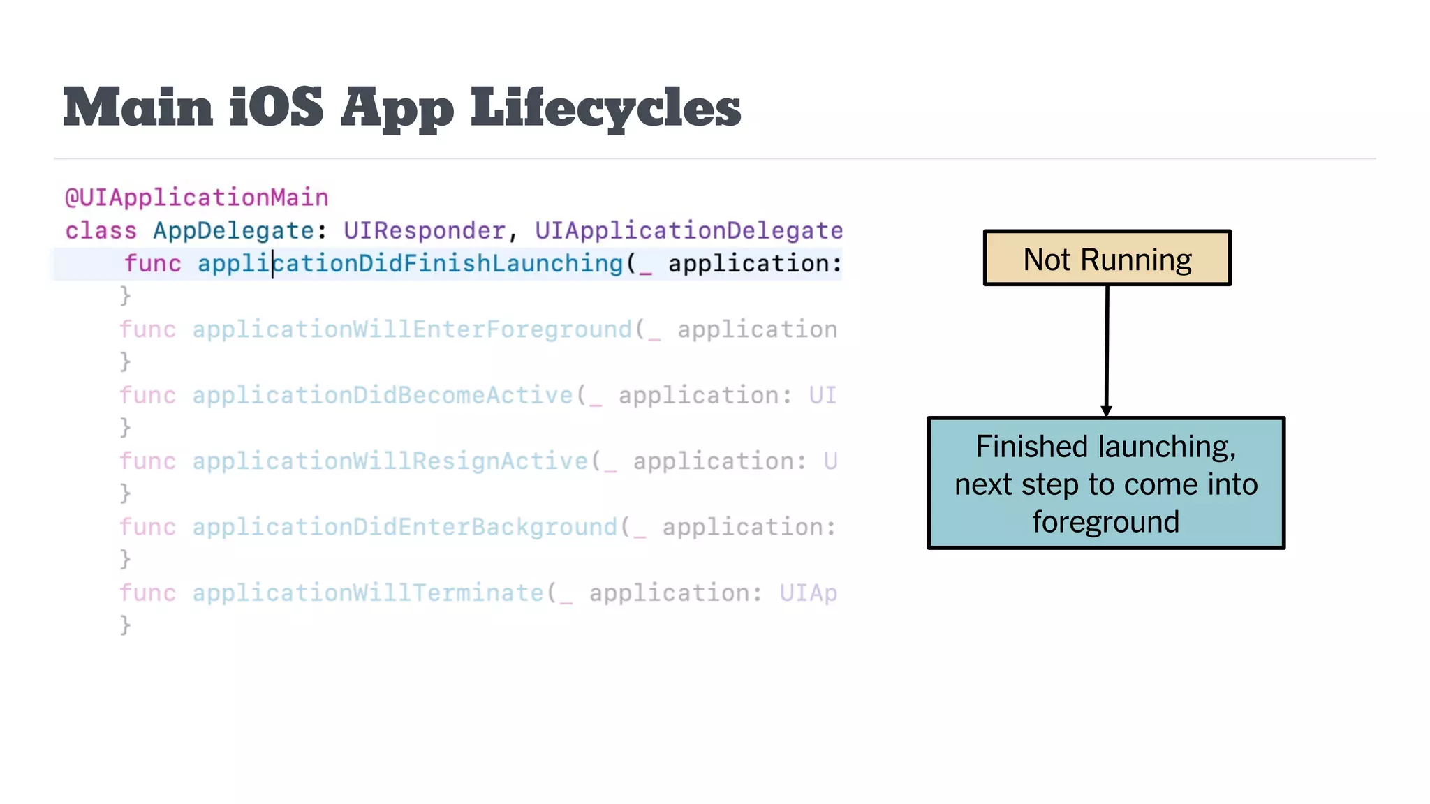 Main iOS App Lifecycles
Not Running
Finished launching,
next step to come into
foreground
 