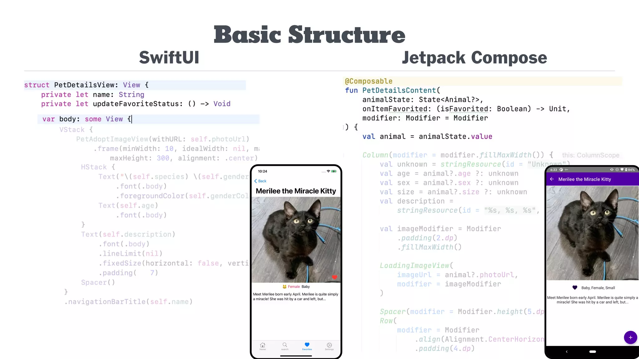 Basic Structure
SwiftUI Jetpack Compose
 