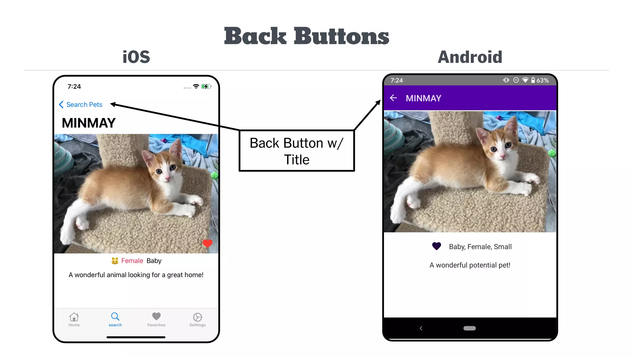 Back Buttons
iOS Android
Back Button w/
Title
 
