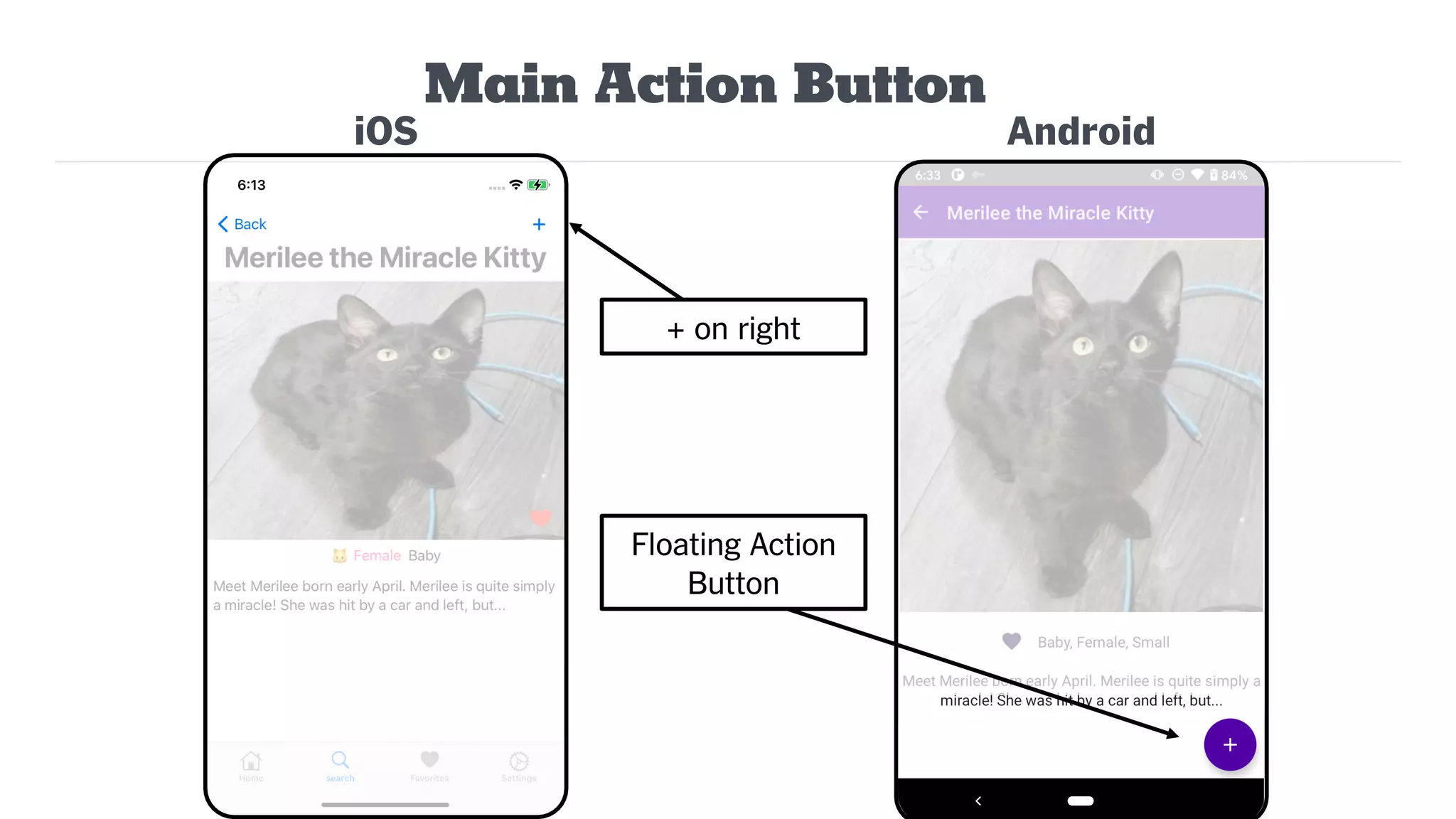 iOS
Main Action Button
Android
+ on right
Floating Action
Button
 