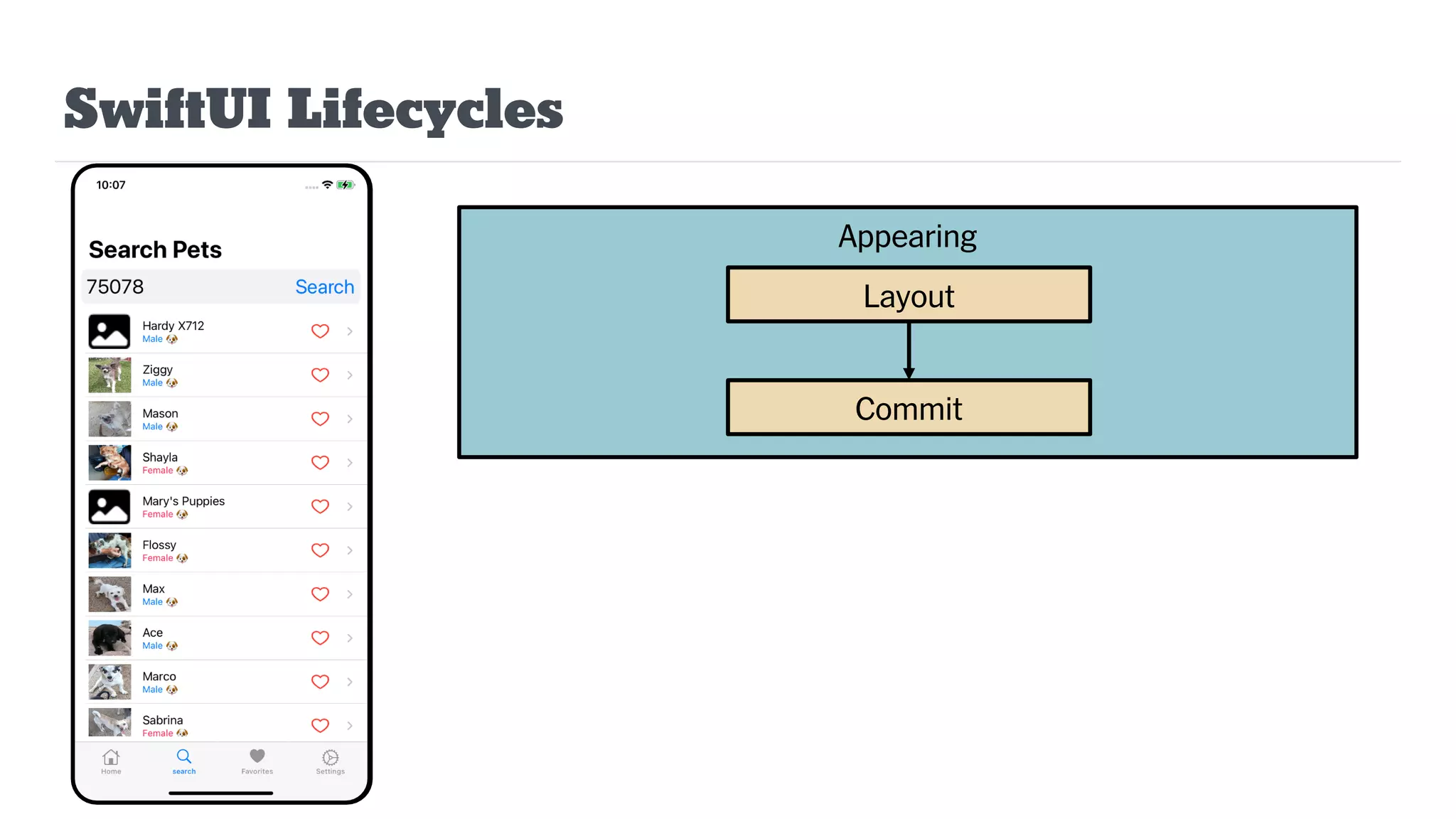 SwiftUI Lifecycles
Appearing
Layout
Commit
 